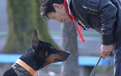 NPO法人DOG DUCA(ドッグデュッカ), 名古屋
