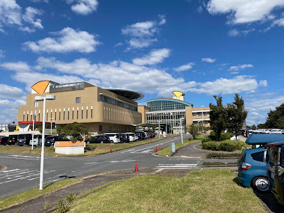 あいち小児保健医療総合センター, 名古屋