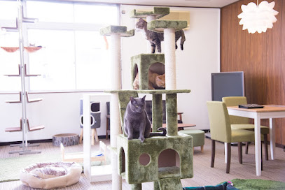 保護猫カフェ ヘミングウェイ, 名古屋