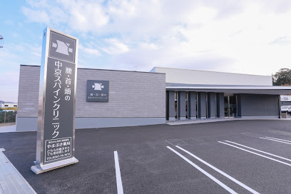 腰・首・頭の中京スパインクリニック, 名古屋