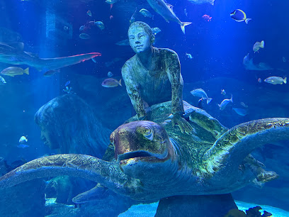 名古屋シーライフ水族館