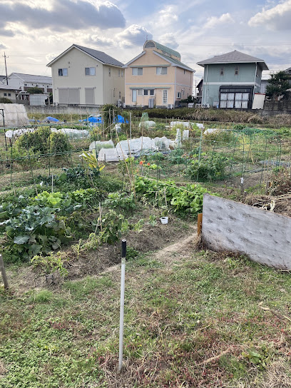 マイファーム知立農園, 名古屋
